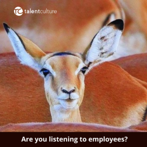 How well do you listen to employees? What can you do to improve? Check this post by our Managing Partner, Cyndy Trivella