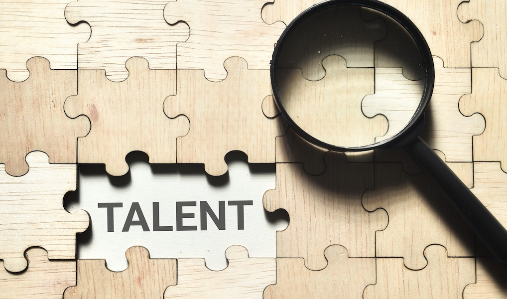 Talent Management Strategies