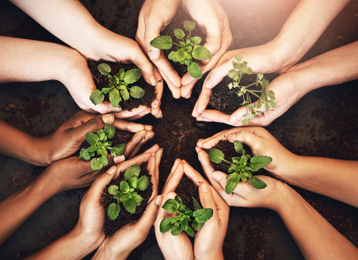 How to Develop a Company Culture of Positivity and Inclusion